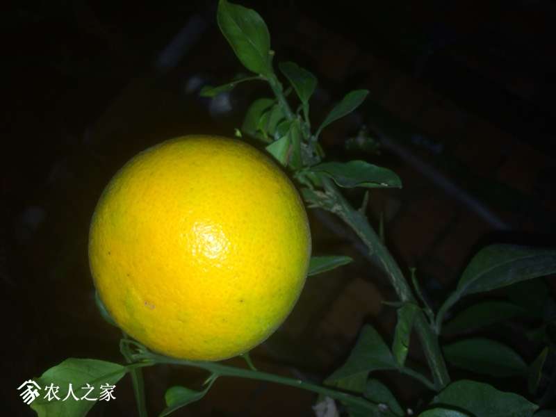 005220l75oquu75ioo7377.jpg