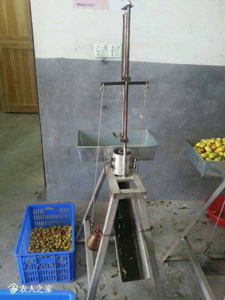 195232v5v00gig7lzhi1l6.jpeg