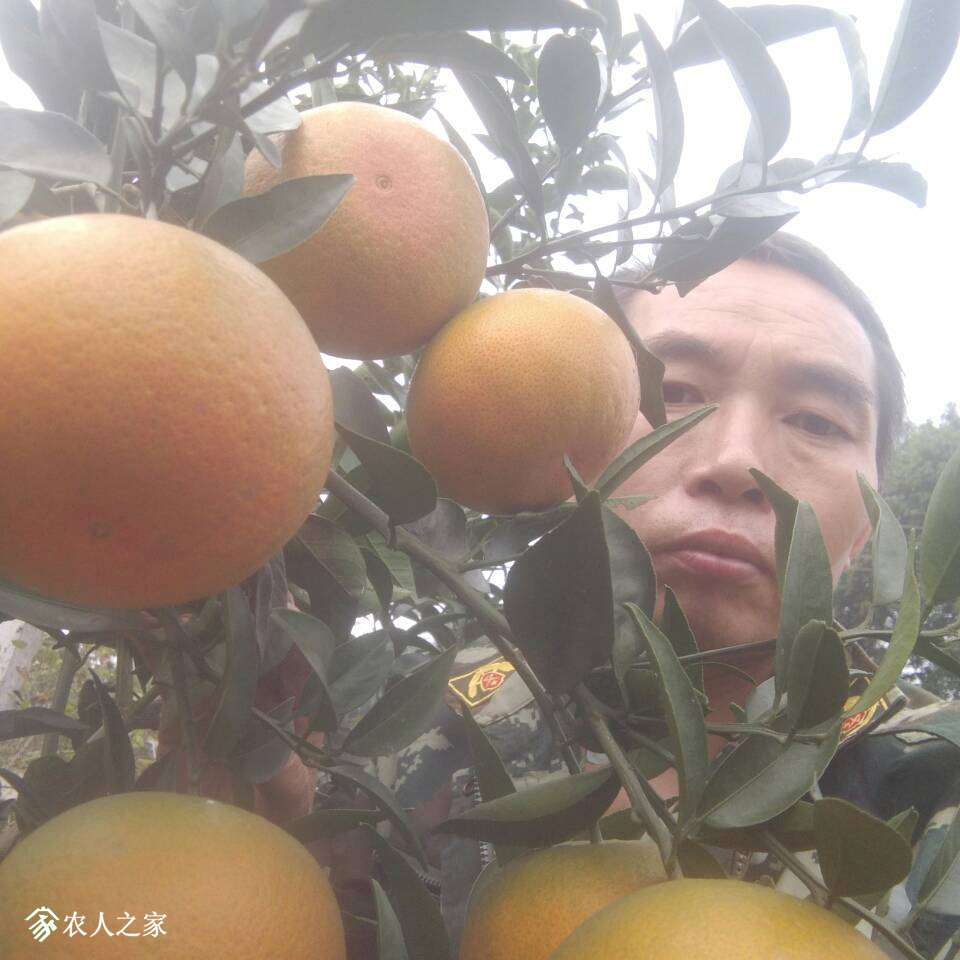 202255rvz5wyu4ewawkwyh.jpg