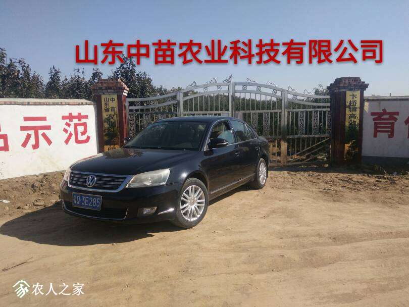 224037t99np0d74ahn67d6.jpg