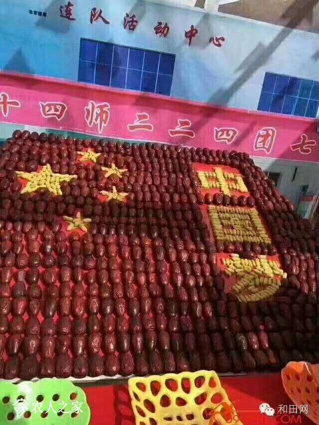 225954cji3zvhoqqojf79e.jpg