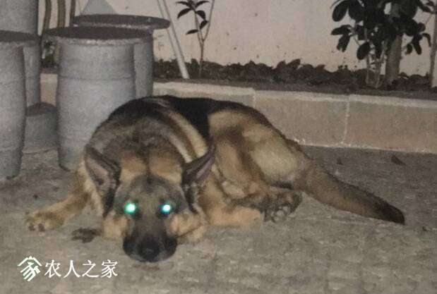 202453sffvkizhvtvzzkig.jpg