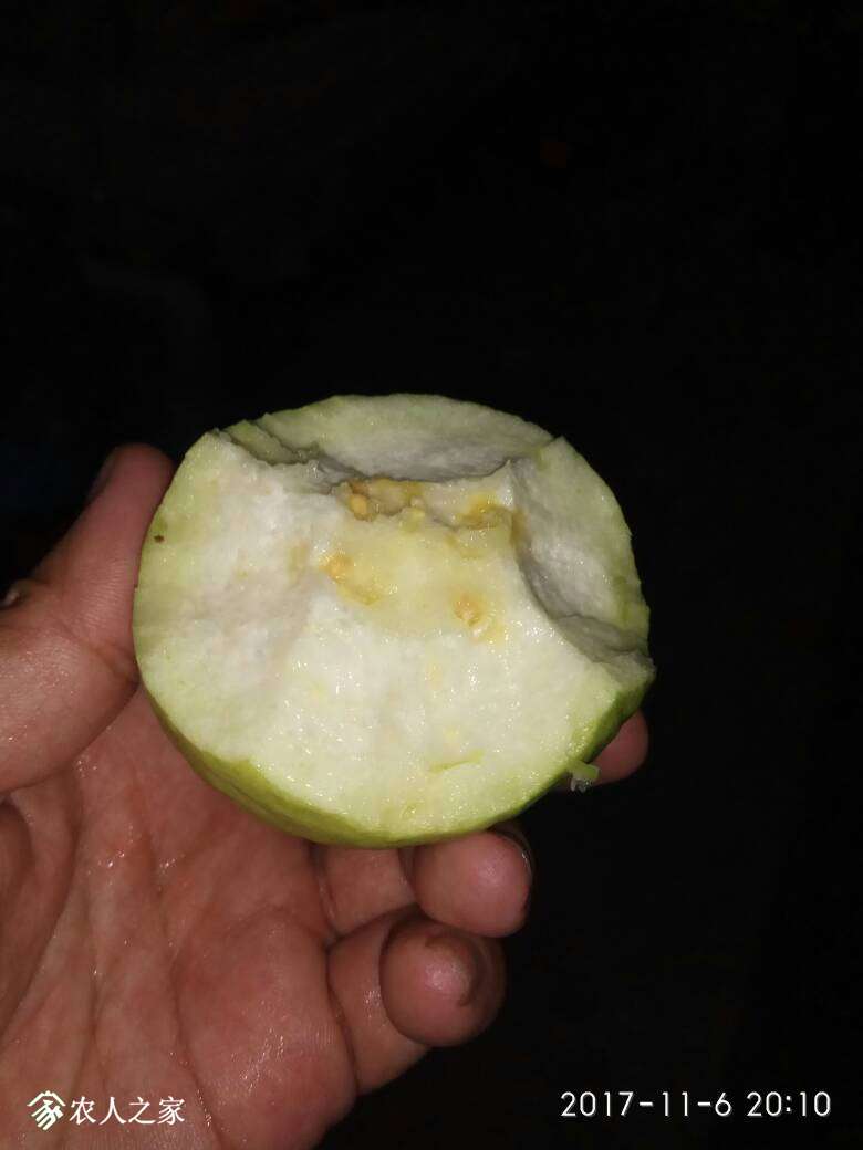 122335o0a0hjkjhykkpmmj.jpg