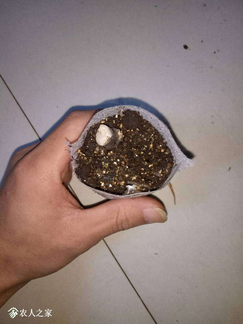193220cz0s0nnjjiwj9g66.jpg