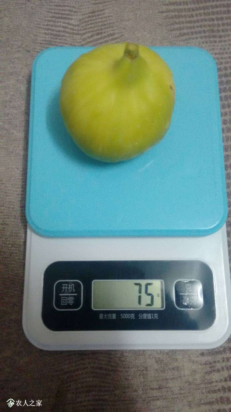 194944w61eza6x2111x3xx.jpg
