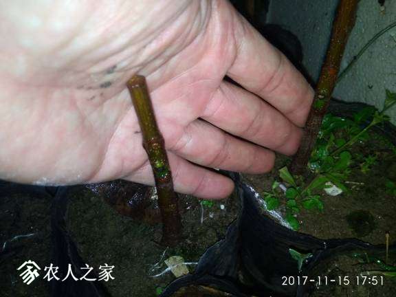 233305uflqsxklllfl6f1j.jpg