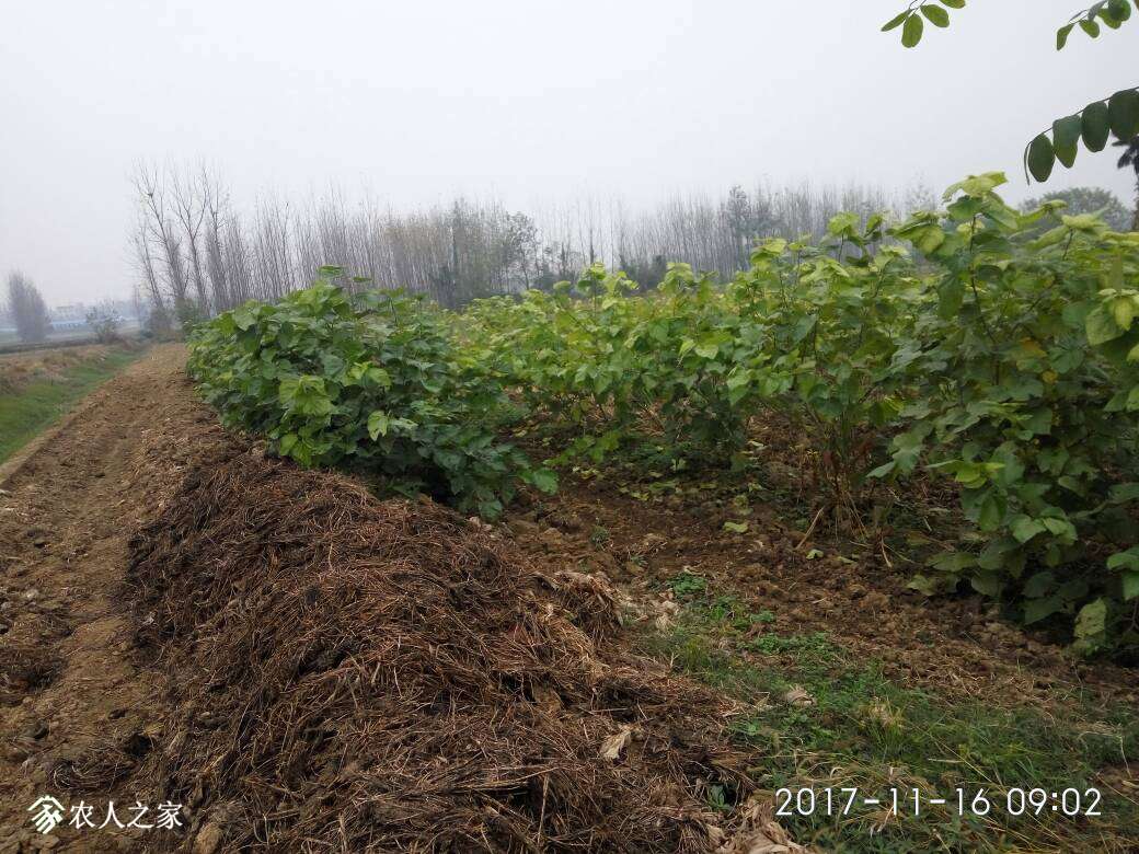 104208rm93c5dx59579mkp.jpg
