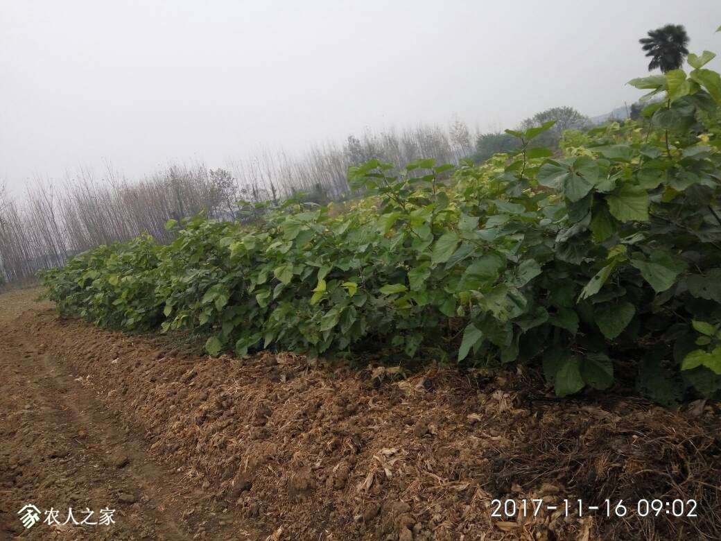104208uqzam6vvvv6u67i2.jpg