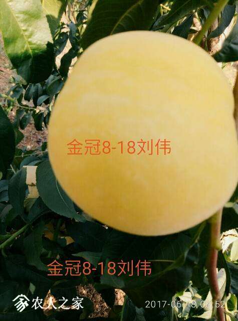 182113qnn6ga9g145g36it.jpg