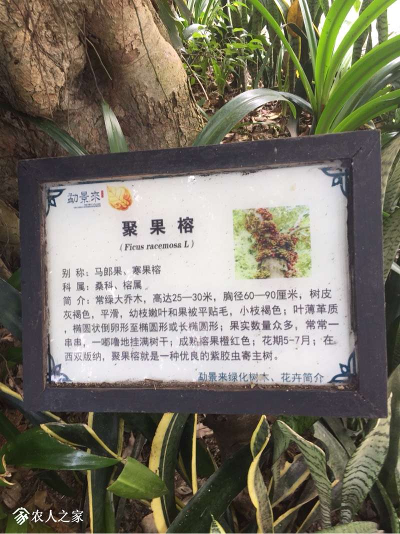 105048zw2srzfqqbrrx0fz.jpg