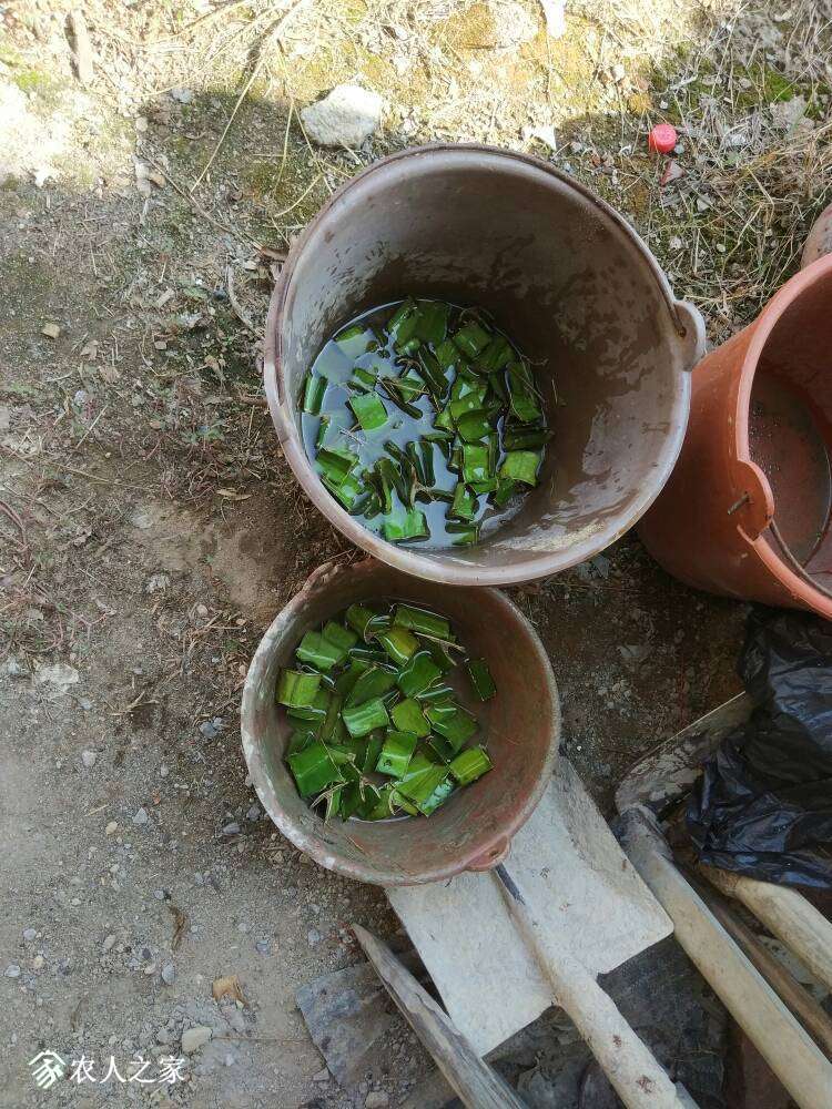 165543fcfzo5ozroo1ynao.jpg