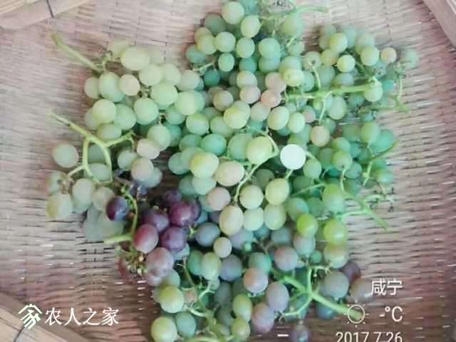 1510977163968.jpeg