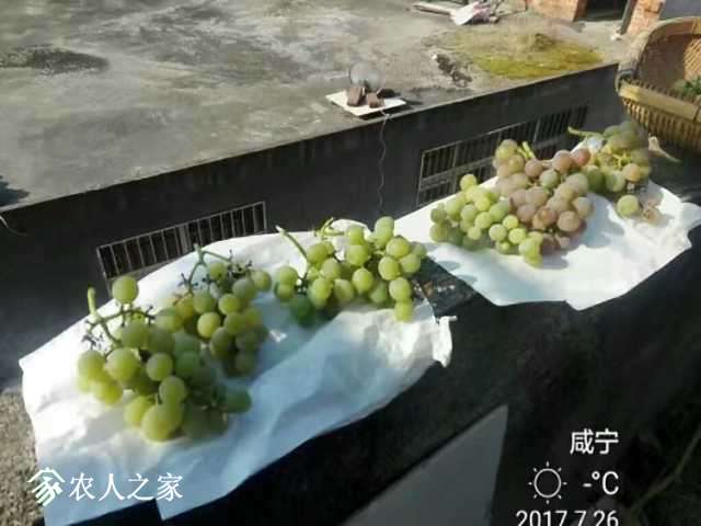 1510977177859.jpeg