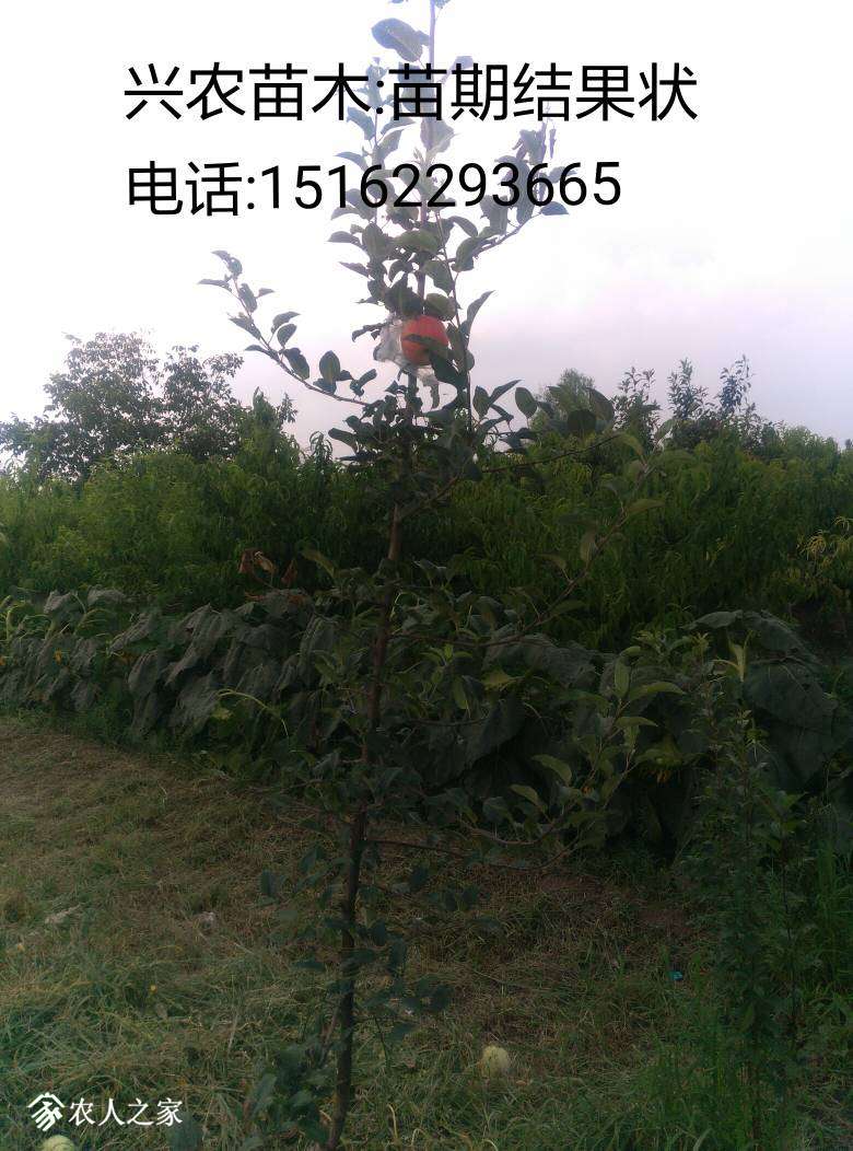 231735vjszpui788982rii.jpg