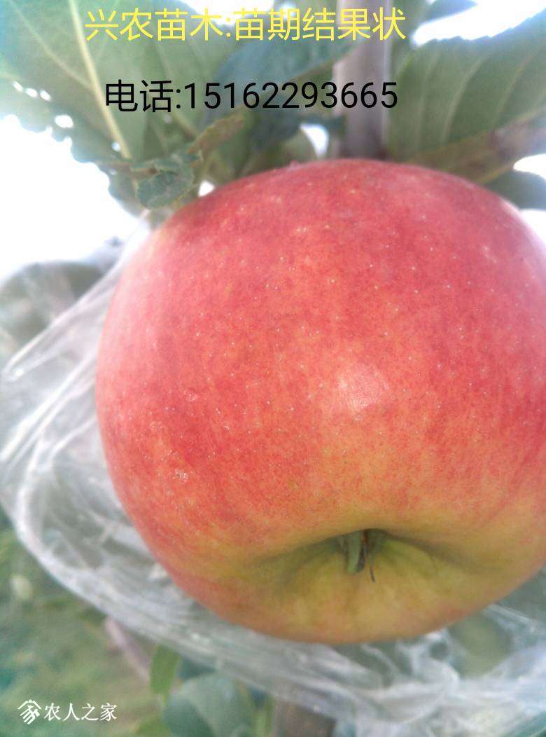 231736gma7iaaxnznzn7b9.jpg