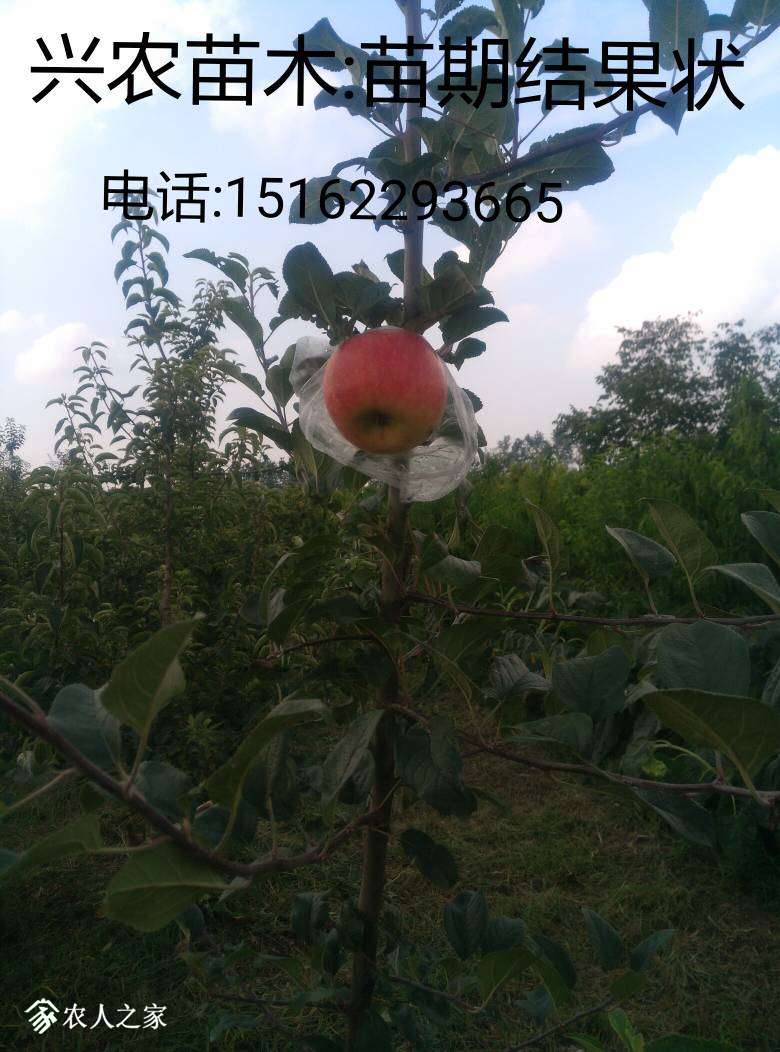 231736xo788svsv8bs99sw.jpg