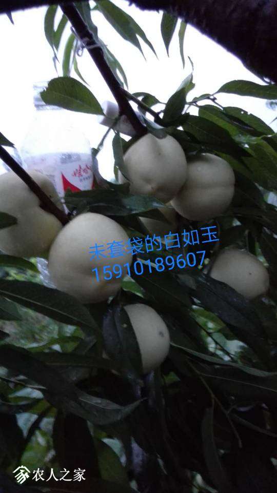 011232k093euiq47yg91zg.jpg