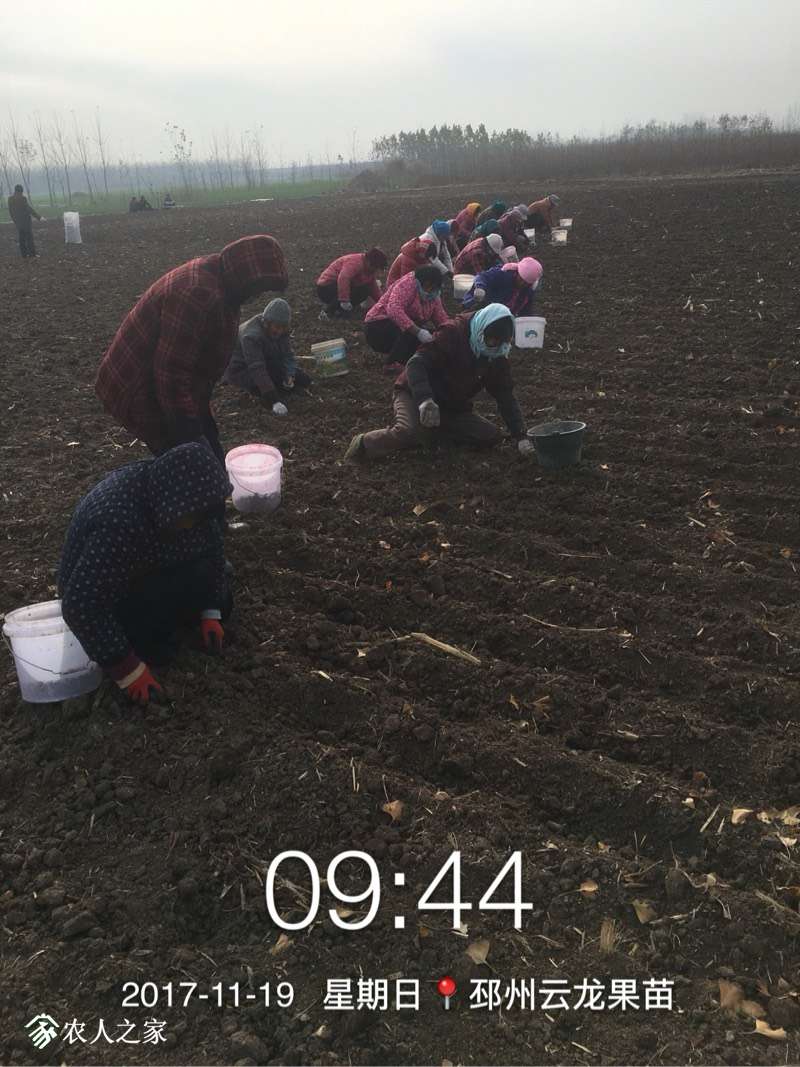 062708ibamcn5xmkazpvvm.jpg