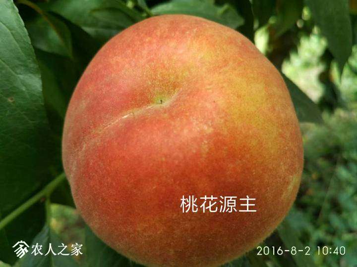 071534yhd5f45hk48hz4hu.jpg