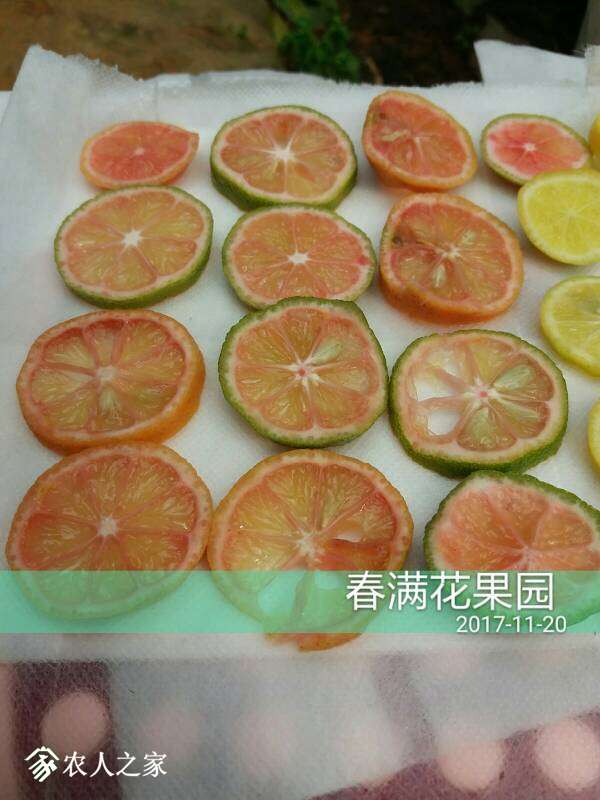 160209cqa5qrfiaqtfqw60.jpg