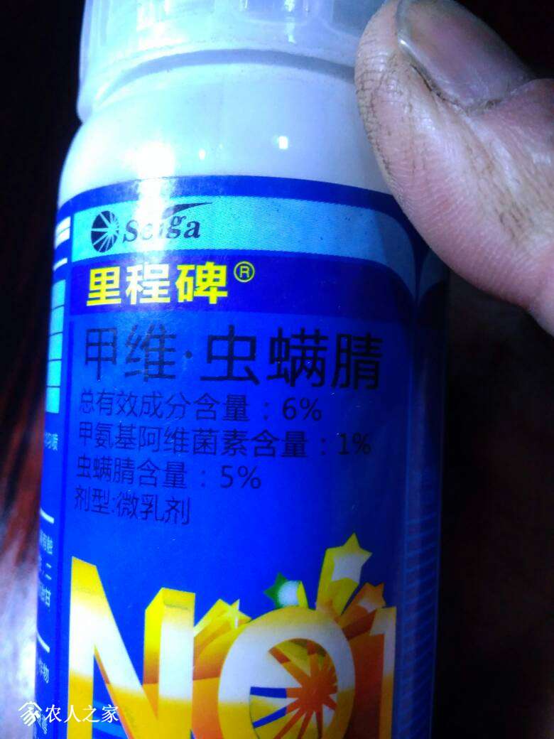 172938q11ilpi6nlnnt4vv.jpg