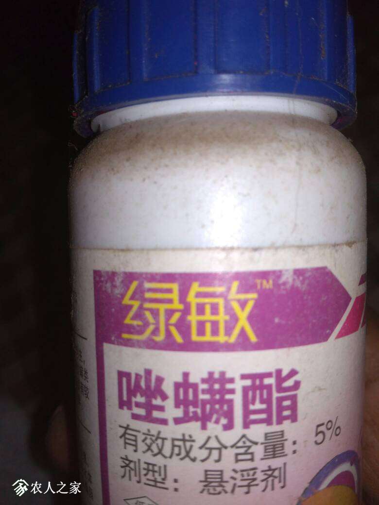 172939jqhht85gs070t85g.jpg