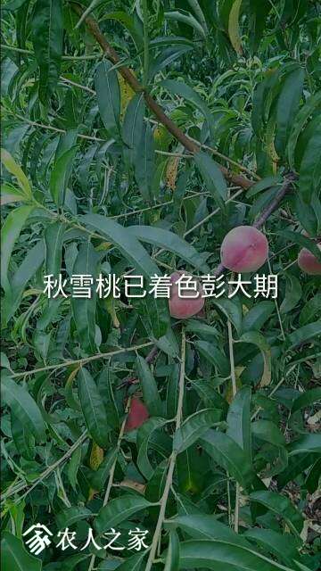 075613h7xdudguwxrxd3cz.jpg