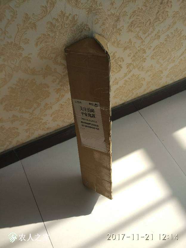 121806akapjl111u1ciuzi.jpg