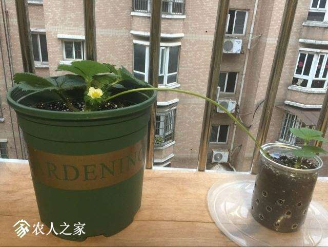 QQͼƬ20171121145756.jpg