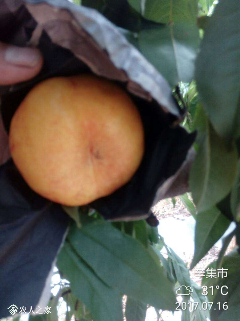 222043lnqzotevxnn1qklj.jpg