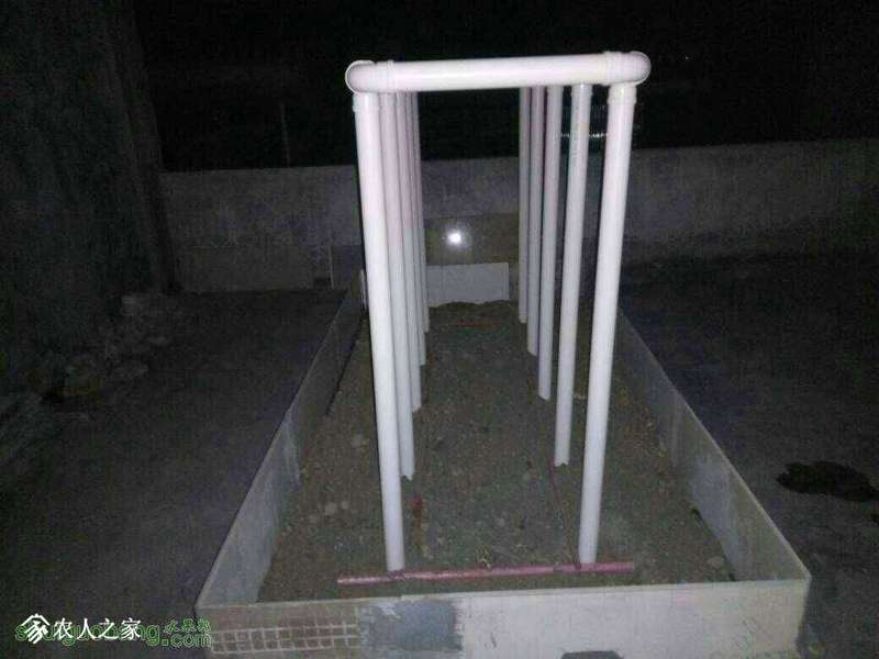 010157yseidt23qsipixxw.jpg