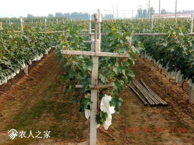 014.JPG