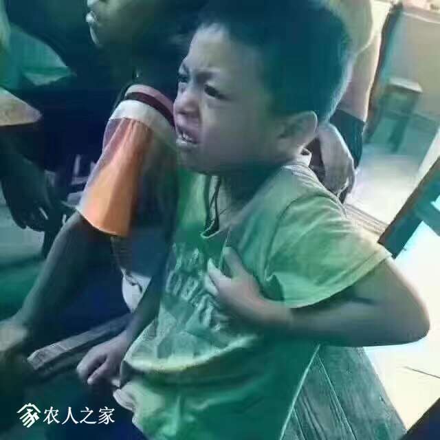 192649nem1yqce4e36t3t3.jpg