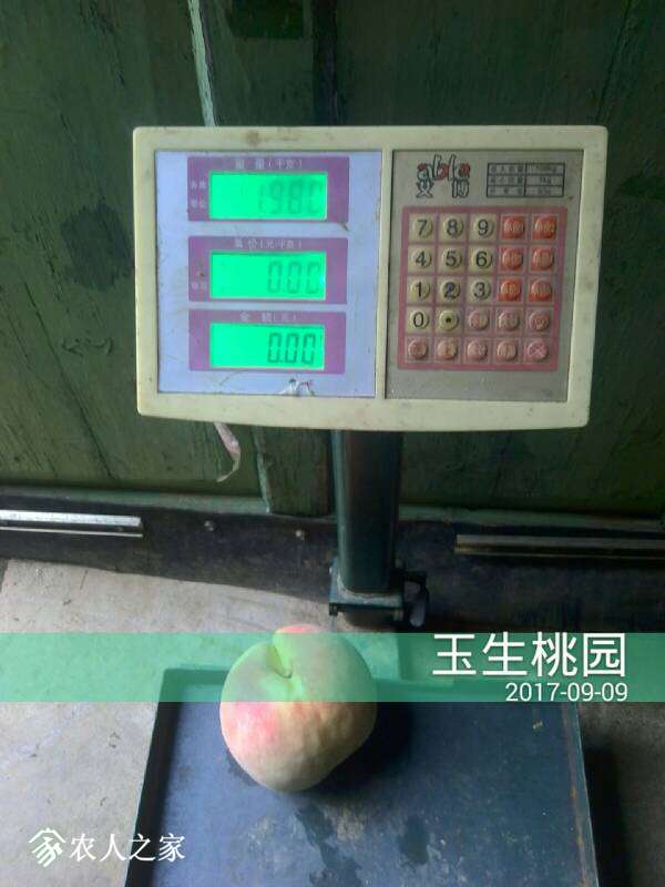 203057kvs0wx4ie2by3os9.jpg
