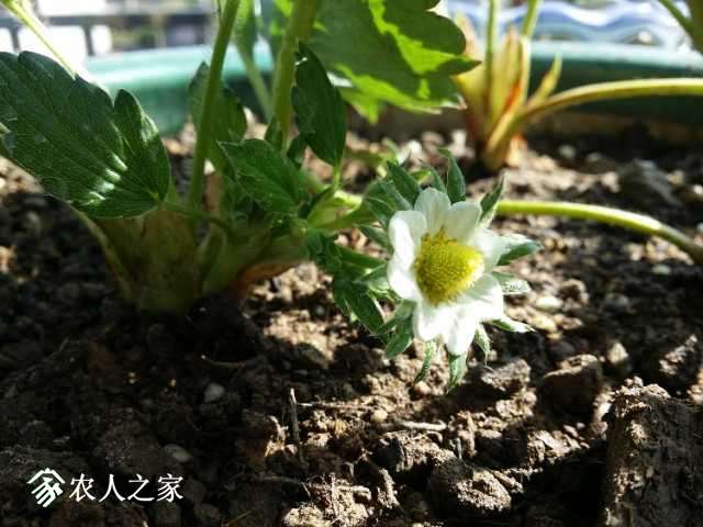 20171122_135941.jpg