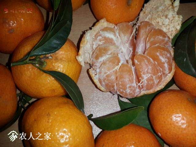 IMG_20141116_183744.jpg