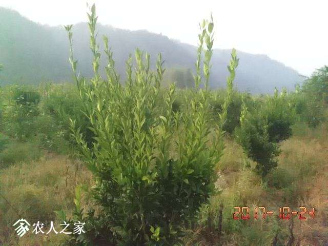 IMG_20171024_070253.jpg
