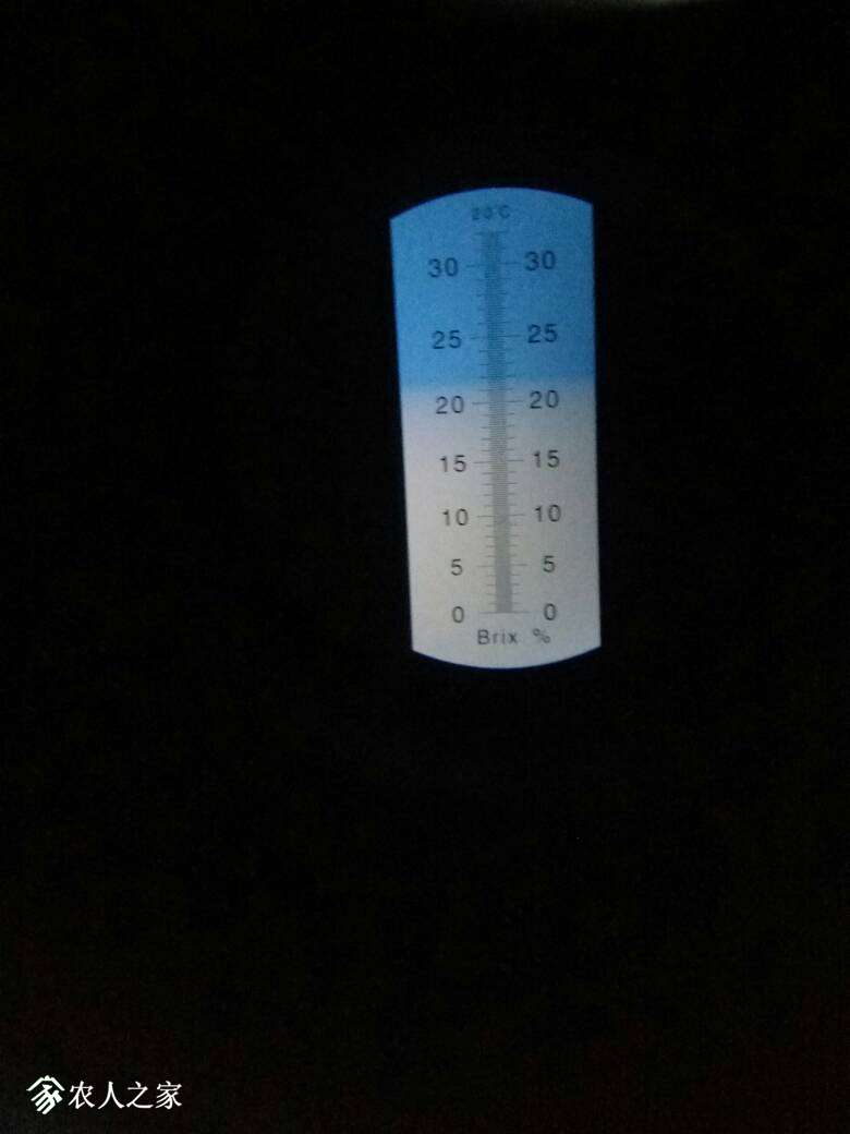 113000iz87bhyaf8m5mkk7.jpg