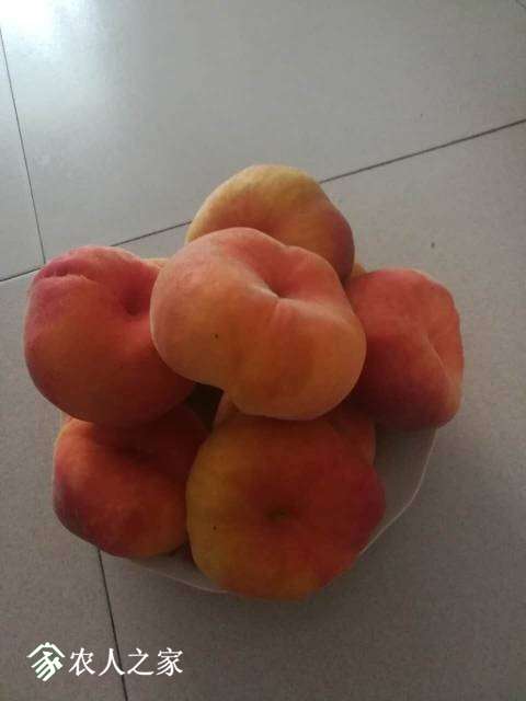 005403r1lngnzal9dmhaal.jpg