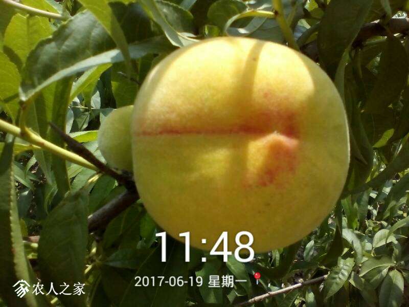 125841dkwigngnzxdgjgwi.jpg