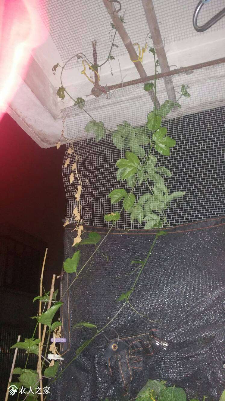 210053wwslghf662ensgd9.jpg