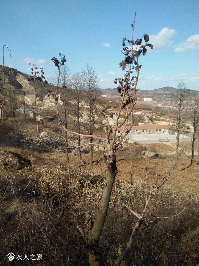 212747mjmjmkzomkou88fg.jpg