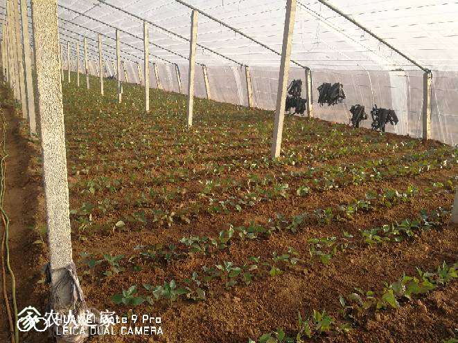 111148xh44aizhtdyaz4in.jpg