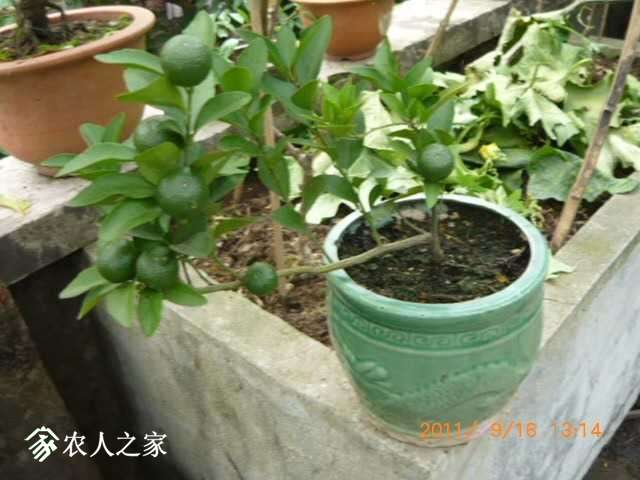P1180891.JPG