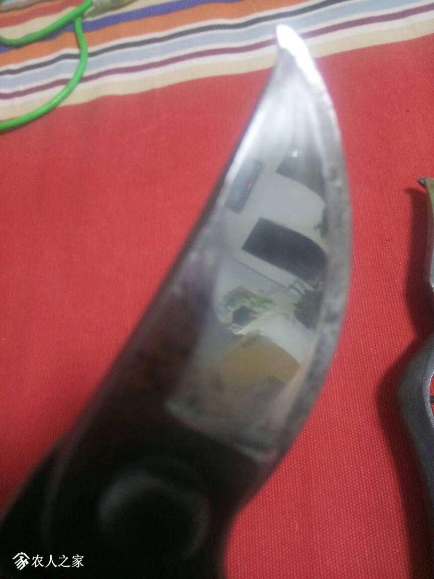 074905tvjpddj0qzjov0d0.jpg