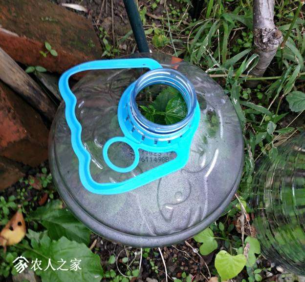 100245gg60zw6glkee88go.jpg