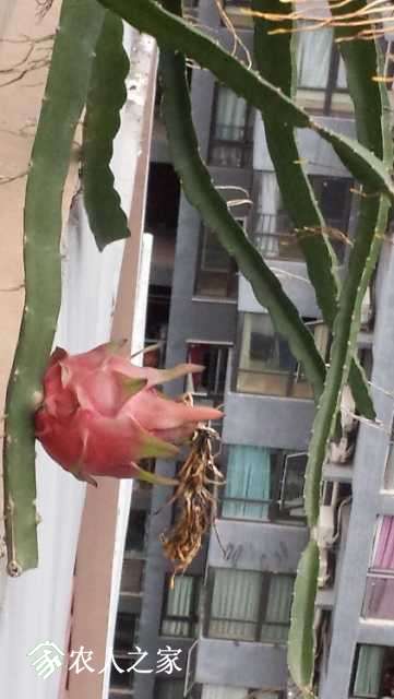 20171116_074800.jpg