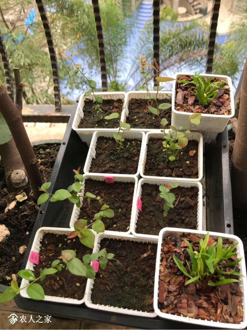 222359mmbu5mlumaygflhb.jpg