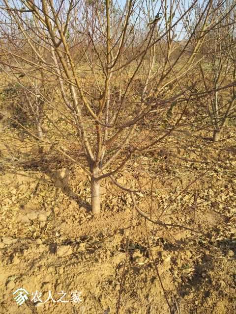 IMG_20171121_140357.jpg