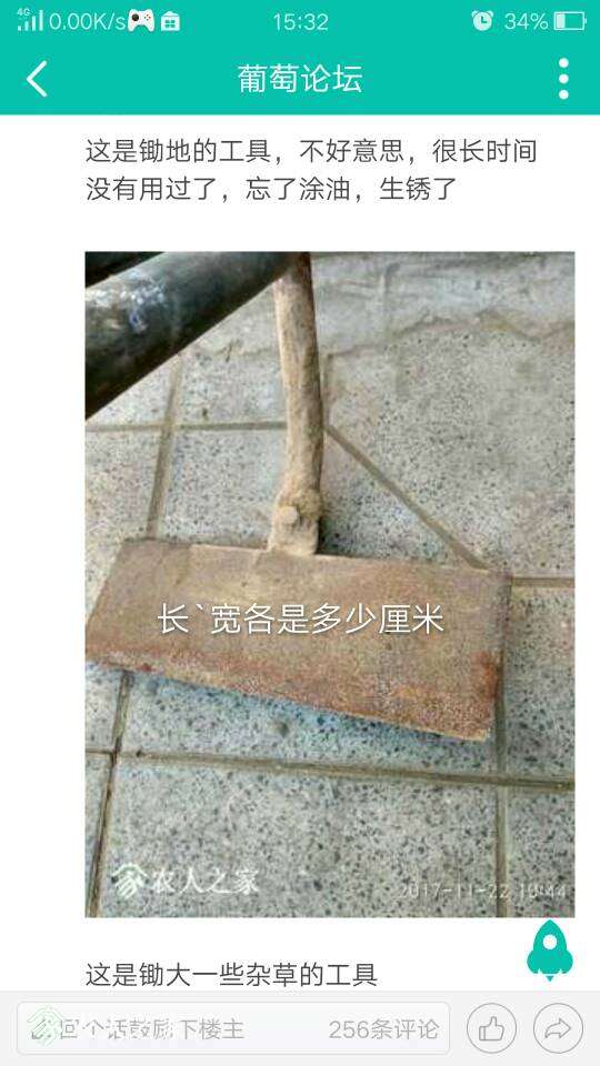 174145u55kz0wg9k79gw99.jpg